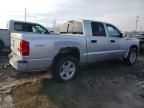 2008 Dodge Dakota sxt