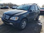 2003 Merz M-class