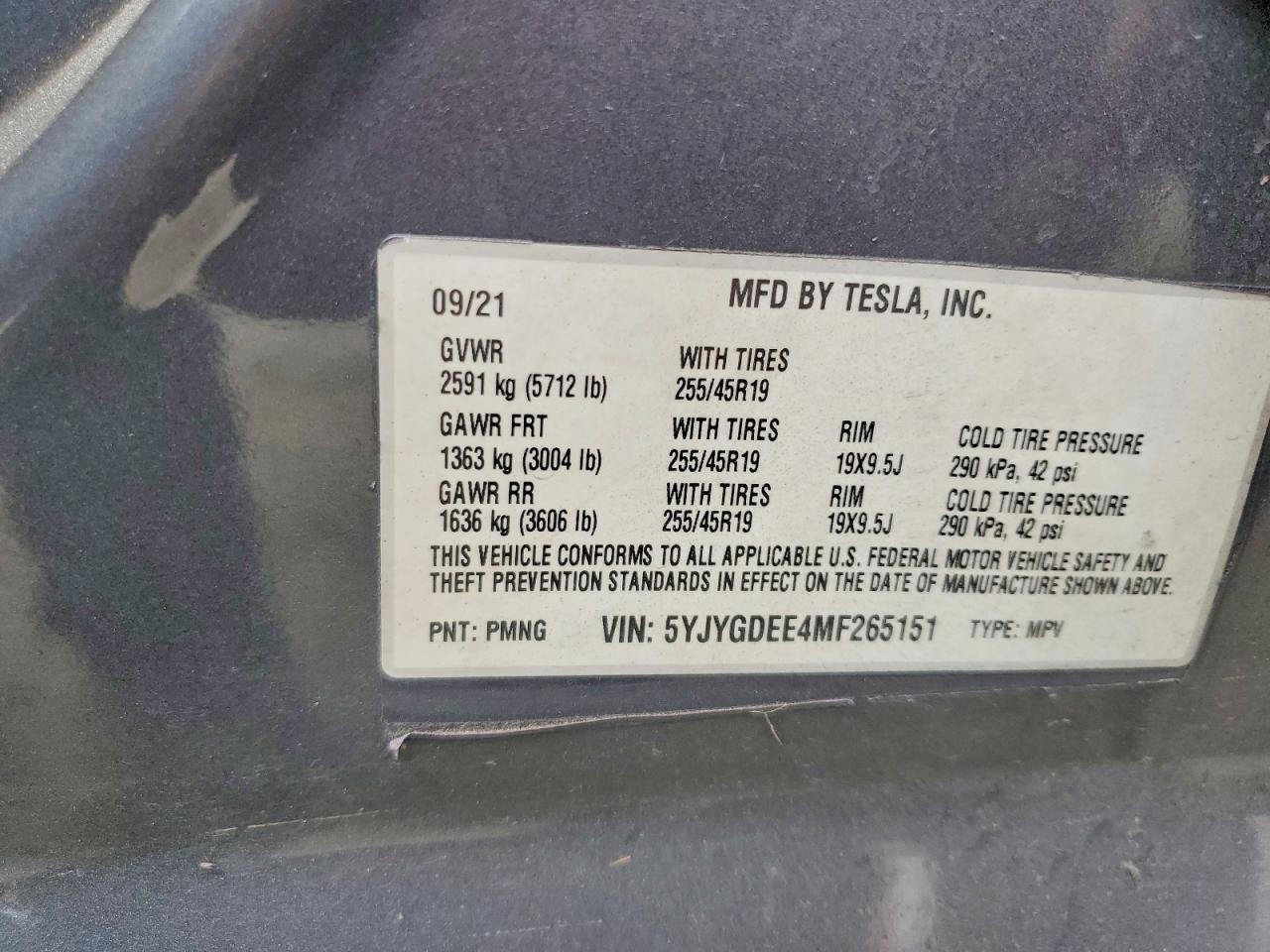 2021 Tesla Model y