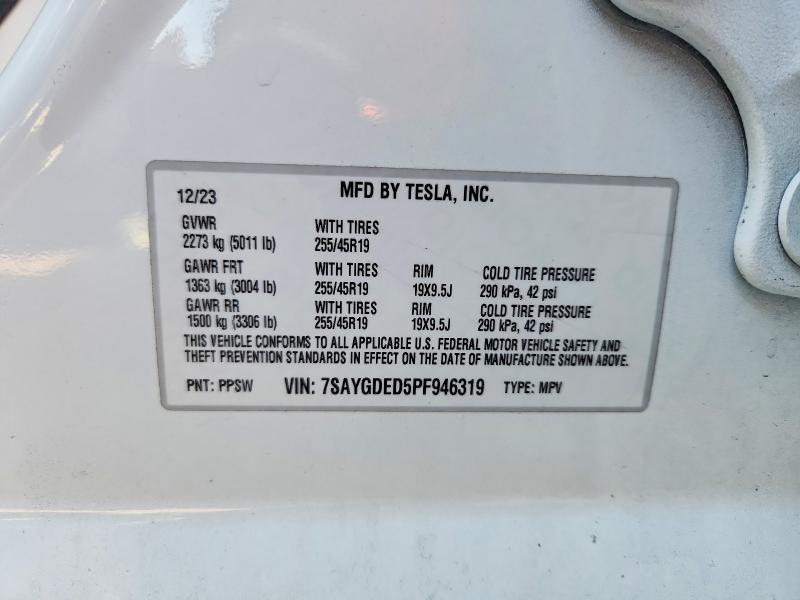2023 Tesla Model y