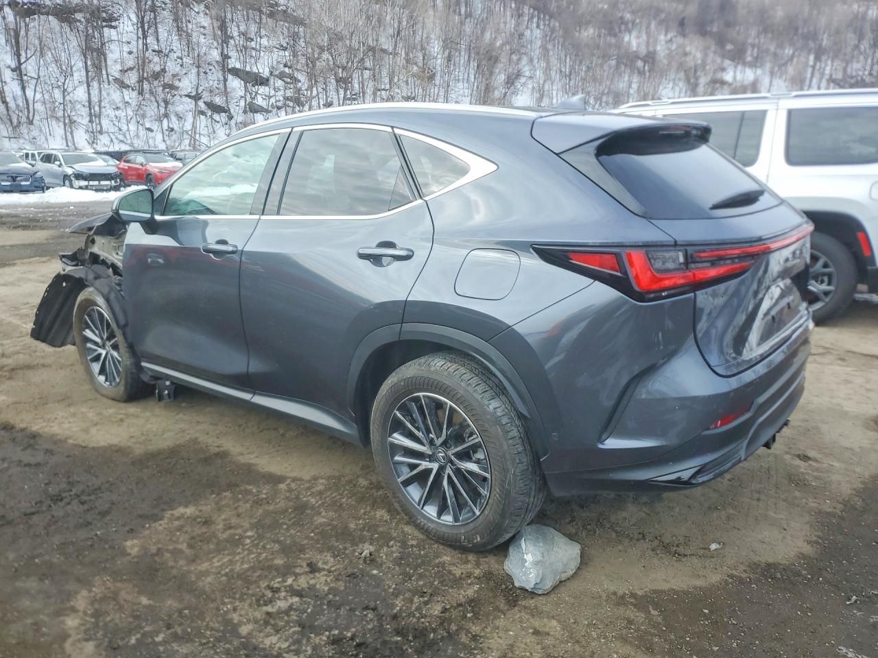 2025 Lexus Nx 350h Base