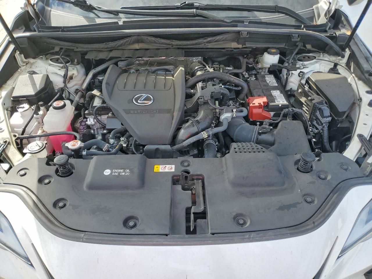 2024 Lexus Nx 350 Luxury