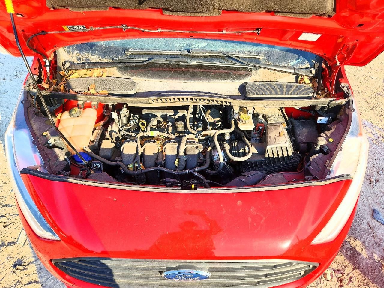 2019 Ford Transit Connect XLT