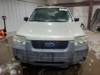 2005 Ford Escape xls