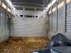 1998 Exxiss Livestock Trailer