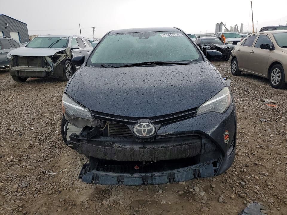 2019 Toyota Corolla l