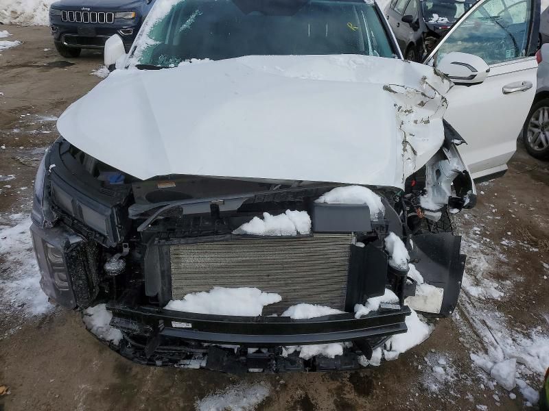 2025 Hyundai Palisade sel Premium