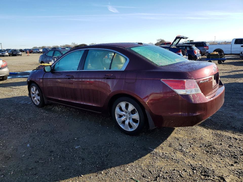 2010 Honda Accord exl