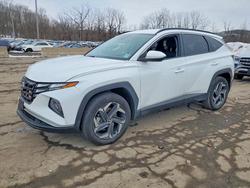 2024 Hyundai Tucson sel for sale in Marlboro, NY