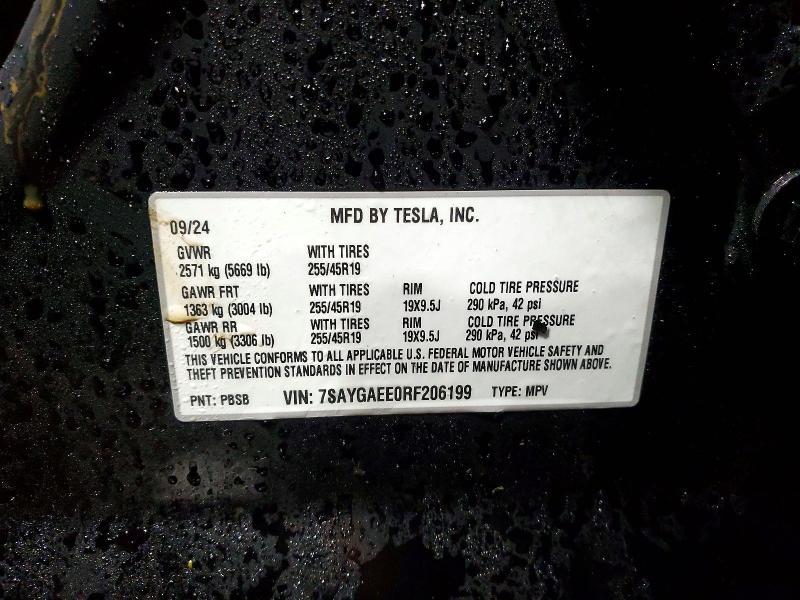 2024 Tesla Model y