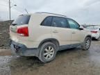 2011 KIA Sorento Base