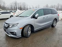 Honda salvage cars for sale: 2019 Honda Odyssey ex