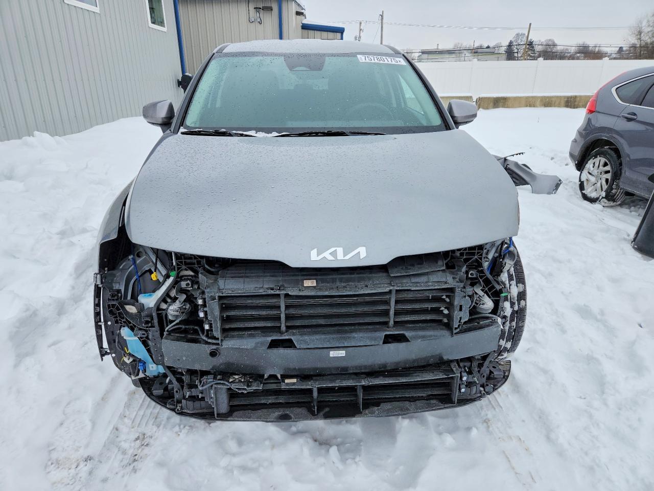 2025 KIA Sportage lx