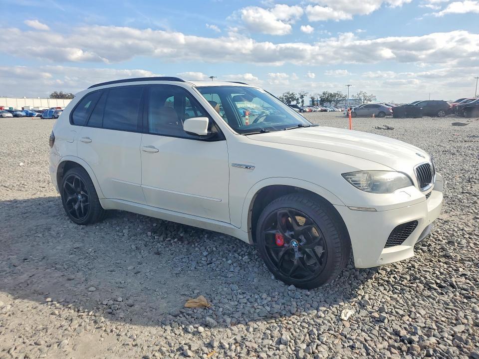 2010 BMW X5 m