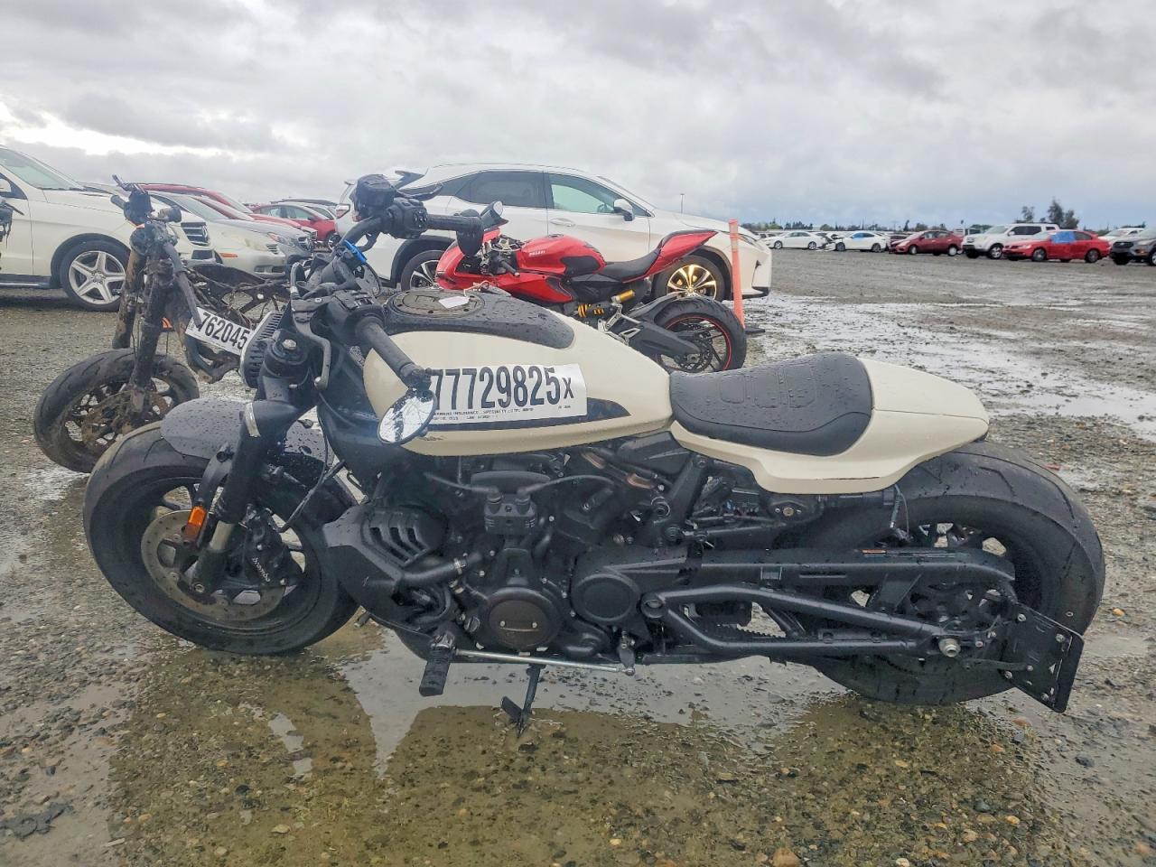 2023 Harley-Davidson RH1250 S