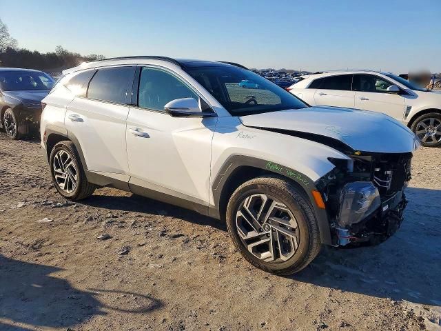 2025 Hyundai Tucson Limited