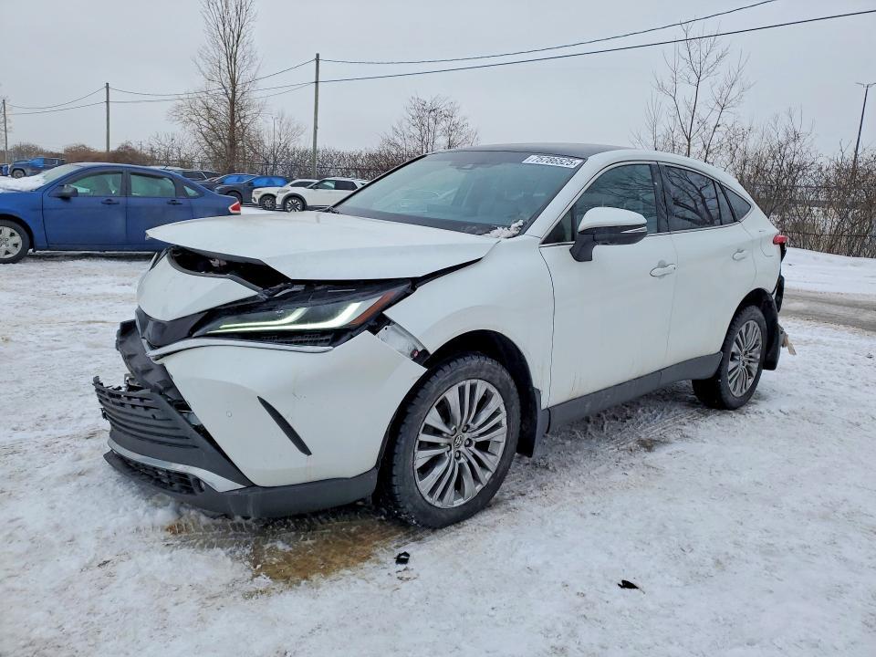 2024 Toyota Venza le