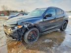 2023 Alfa Romeo Stelvio Quadrifoglio