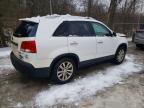2011 KIA Sorento ex