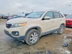 2011 KIA Sorento Base