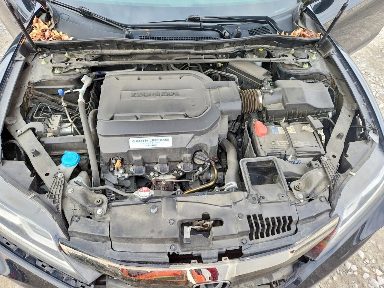 2017 Honda Accord exl