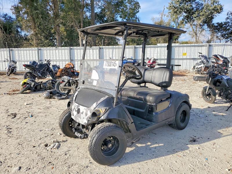 2019 Yama 4P