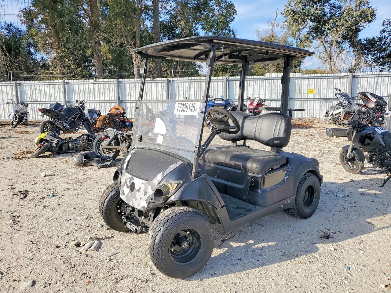2019 Yama 4P