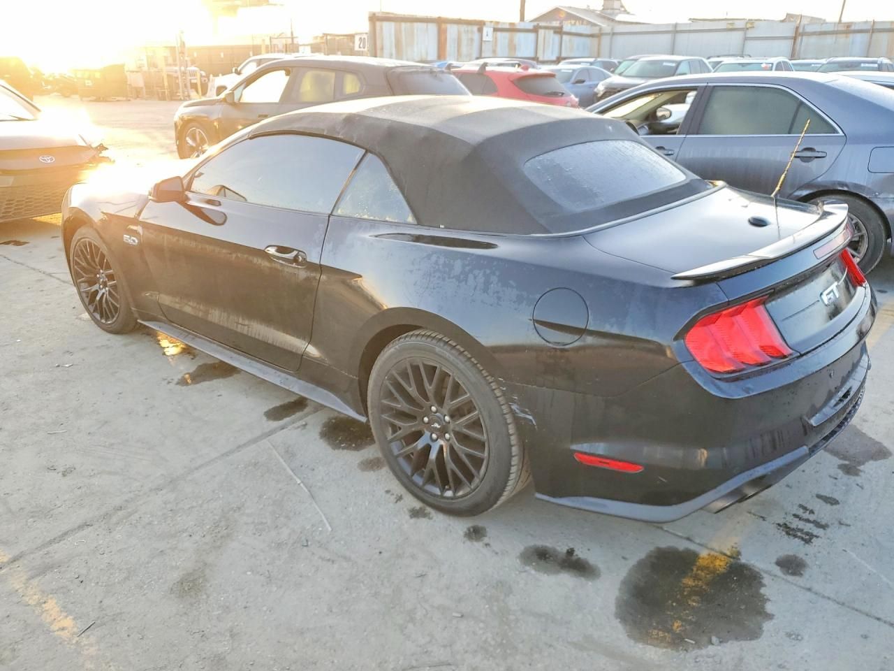 2019 Ford Mustang gt