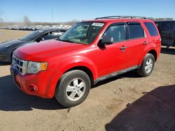 Vehiculos salvage en venta de Copart Des Moines, IA: 2009 Ford Escape xlt