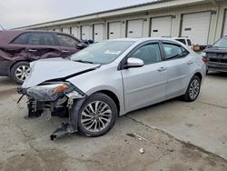 2017 Toyota Corolla xle for sale in Louisville, KY