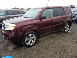 Honda Vehiculos salvage en venta: 2012 Honda Pilot exl