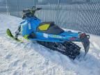 2017 Skidoo 2017 Skidoo Freeride
