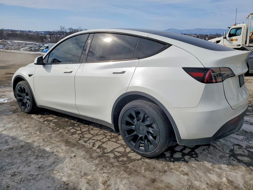 2025 Tesla Model y