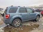 2010 Ford Escape Limited