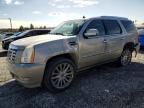 2008 Cadillac Escalade Luxury