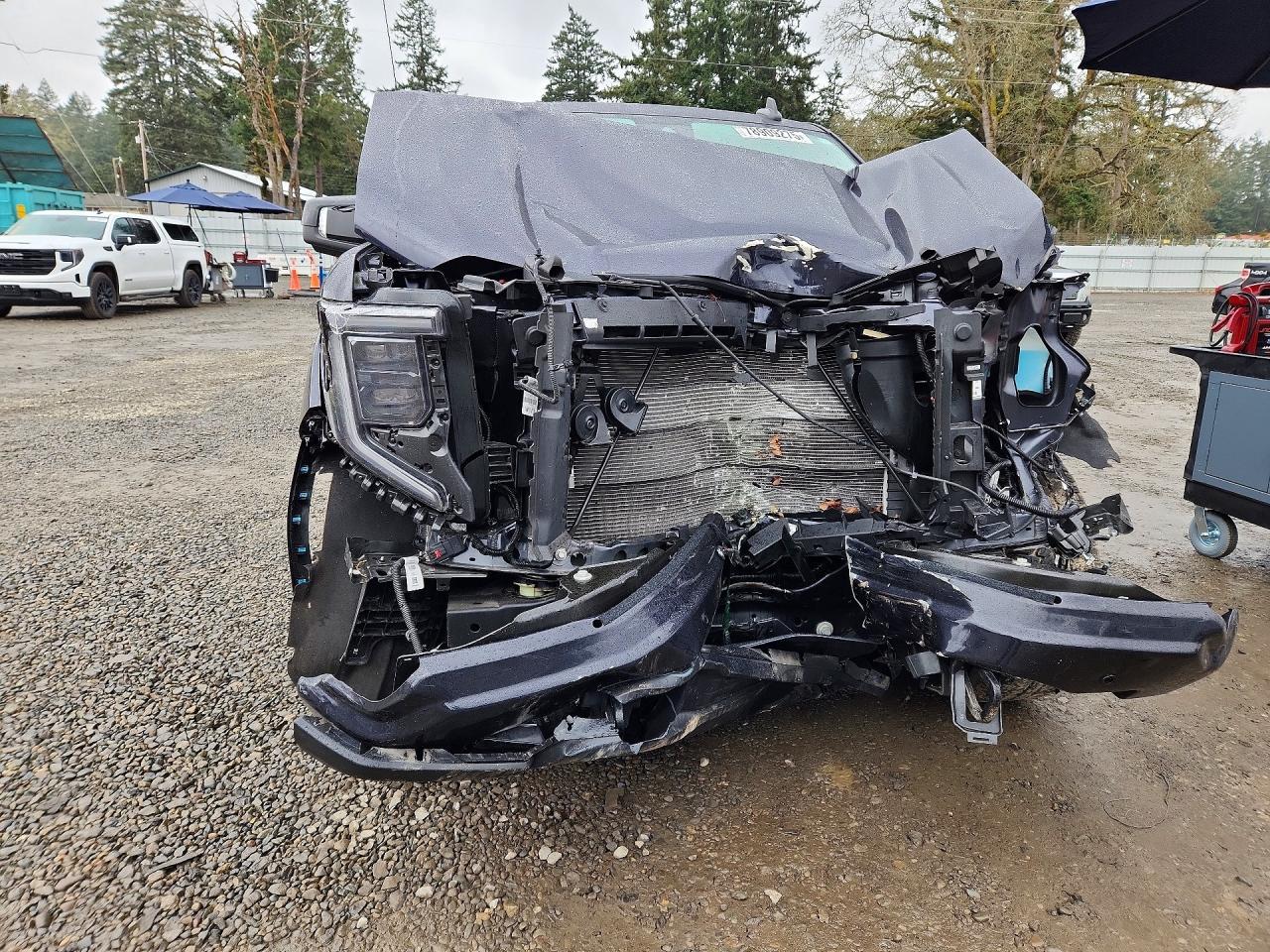 2025 GMC Sierra K1500 Elevation