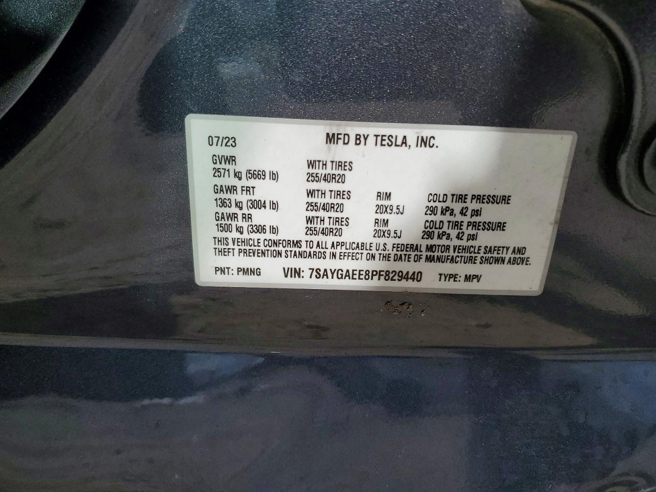 2023 Tesla Model y