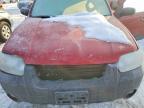 2006 Ford Escape xlt