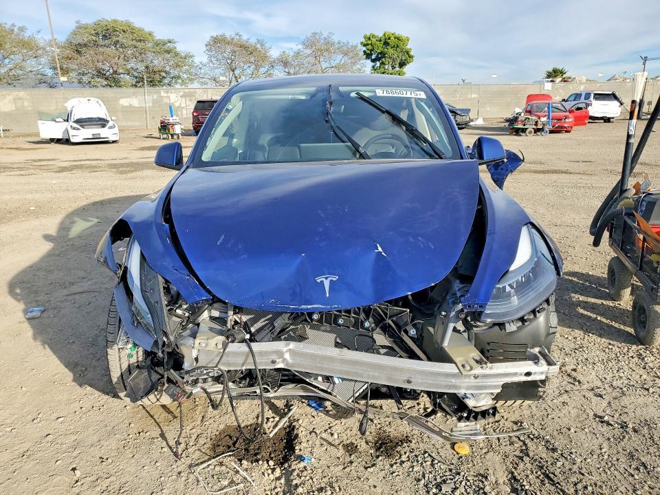 2025 Tesla Model y
