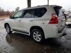 2010 Lexus Gx 460