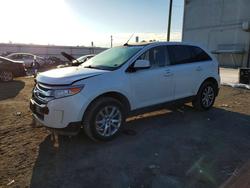 Ford Edge Vehiculos salvage en venta: 2011 Ford Edge Limited