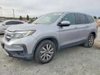 2019 Honda Pilot exl