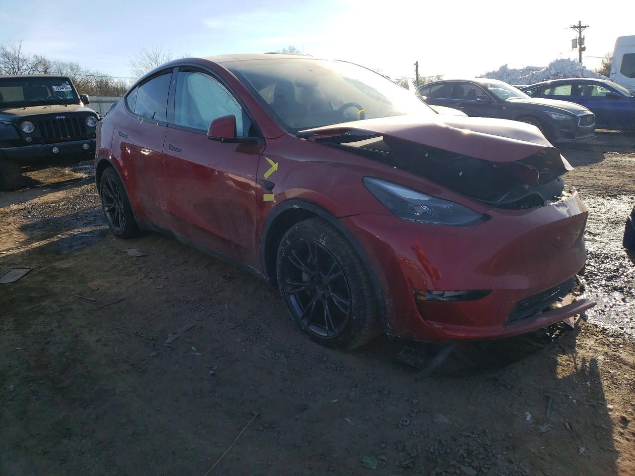2024 Tesla Model y