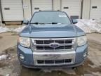 2010 Ford Escape Limited