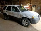 2006 Ford Escape xlt