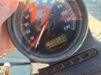 2013 Harley-Davidson XL883