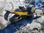 2023 Skidoo MXZ Blizzard