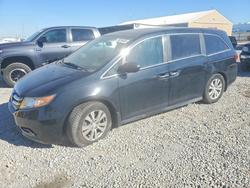 2015 Honda Odyssey exl for sale in Brighton, CO