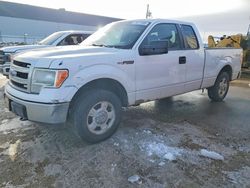 Ford Vehiculos salvage en venta: 2013 Ford F150 Super Cab