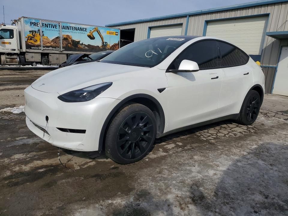 2025 Tesla Model y